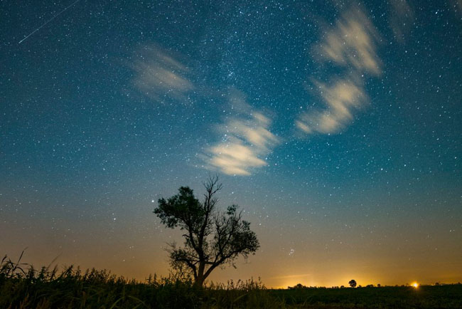 epa05473100 A shooting star (L, top) is seen on the night sky during the perseid meteor shower in Jankowo, near Poznan, 11 August 2016. The first half of August is traditionally the best time to look out for meteors called 'shooting stars', or perseids which are the leftover dust particles of a comet tail associated with comet Swift-Tuttle. EPA/LUKASZ OGRODOWCZYK POLAND OUT