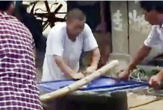 Defenceless dogs scream in agony as they are boiled ALIVE for sick trade in meat WARNING EXTREMELY GRAPHIC CONTENT Animal rights campaigners are calling for the practice to end