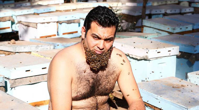 Mohamed Hagras, 31, looks on as he performs the "Beard of Bee" before the upcoming Egyptian Agricultural Carnival of Beekeeping in his farm at Shebin El Kom city in the province of Al- Al-Monofyia, northeast of Cairo, Egypt November 30, 2016. Picture taken November 30, 2016. REUTERS/Amr Abdallah Dalsh TPX IMAGES OF THE DAY