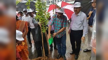 mumbai-mla-waters-plant-in-rains_kapsology-twitter_759